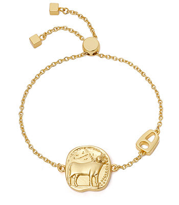 Alex and ani sales elephant pull chain bracelet