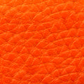 Orange Leather / 30-32